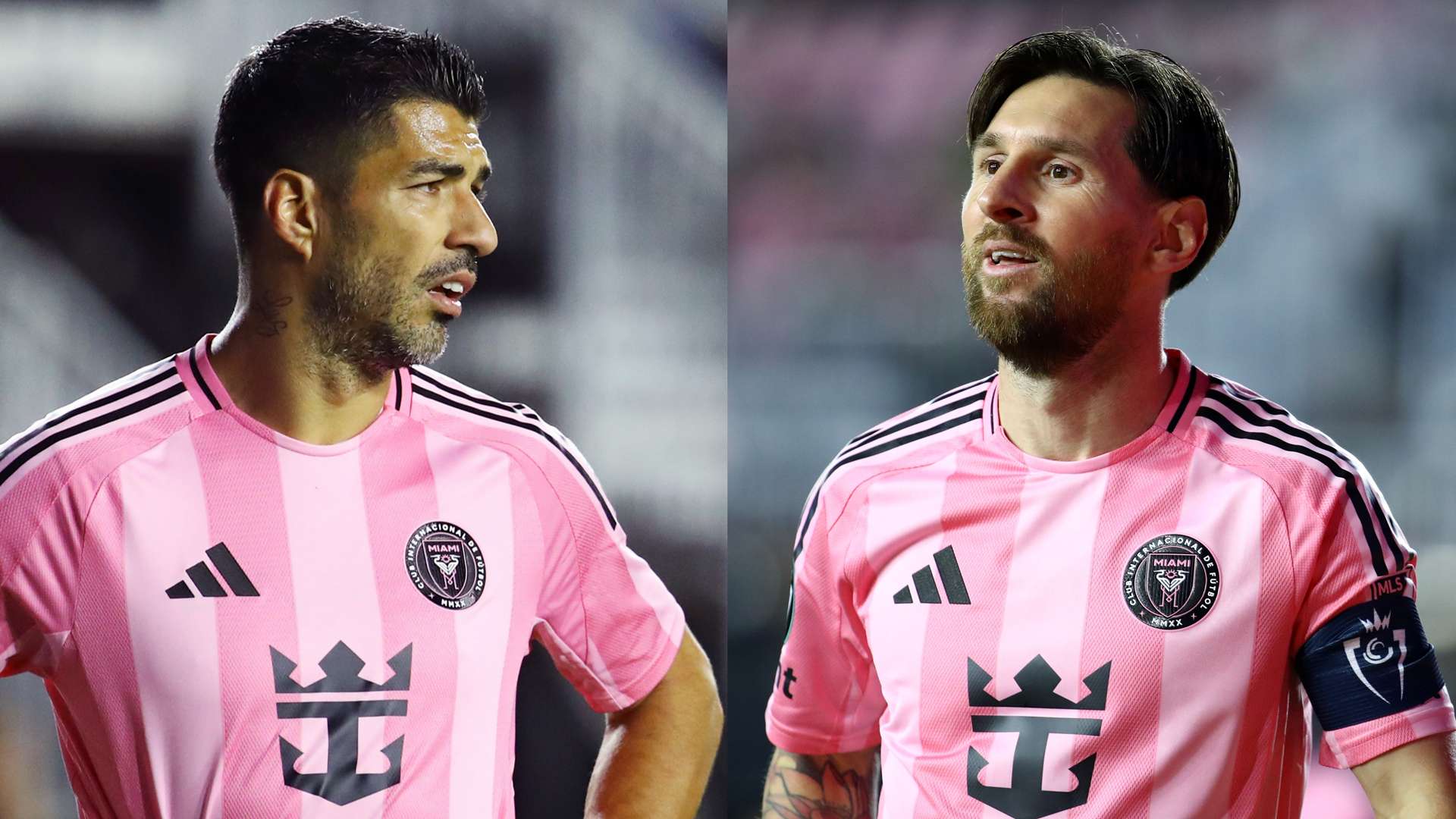 的强势表现 的强势表现